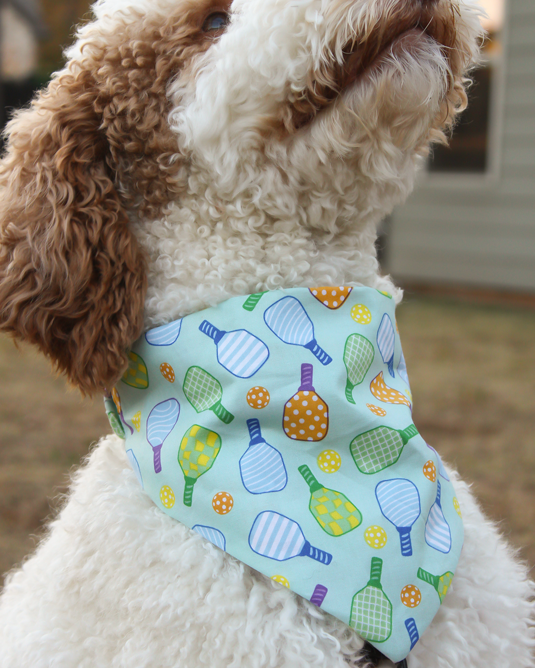 Pickleball Court Bandana