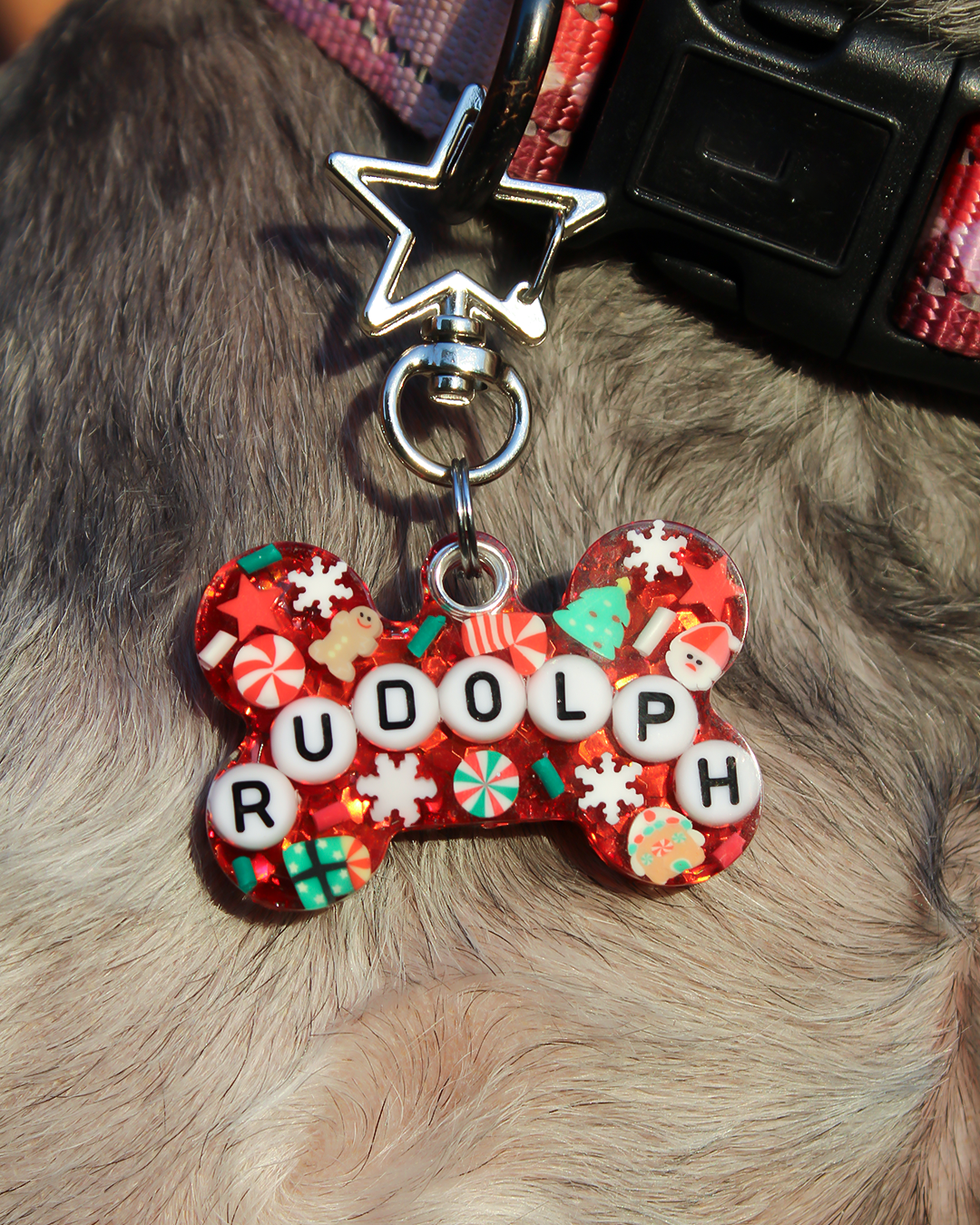 Christmas Red Resin Pet Tag