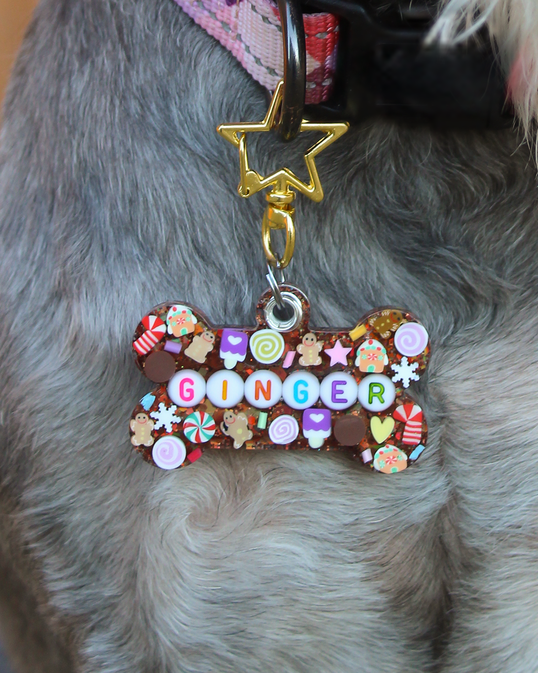 Gingerbread Resin Pet Tag