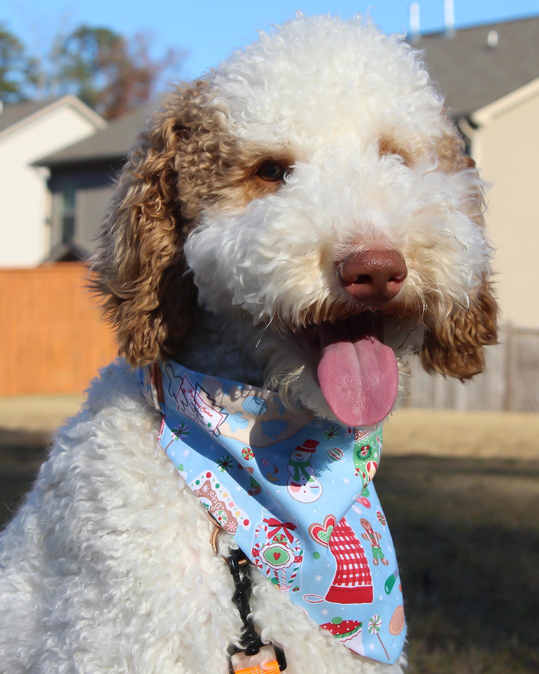 Bake Shop Bandana