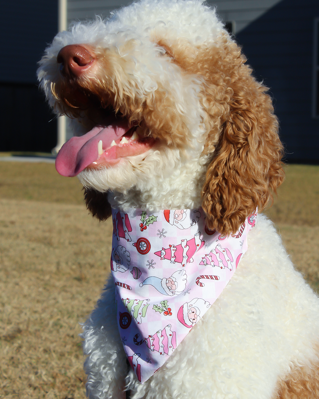 Pink Christmas Bandana