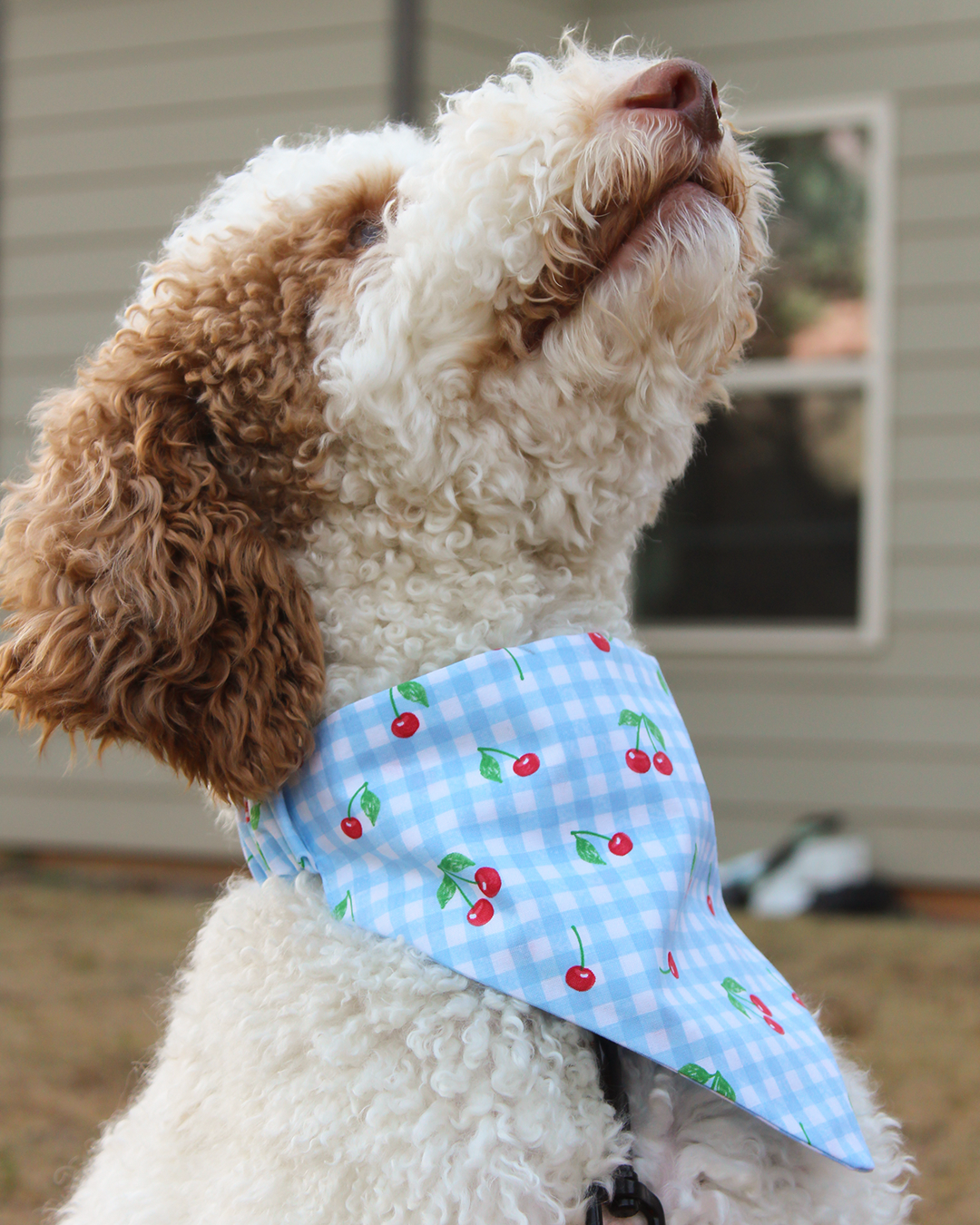 Cherry Gingham Bandana