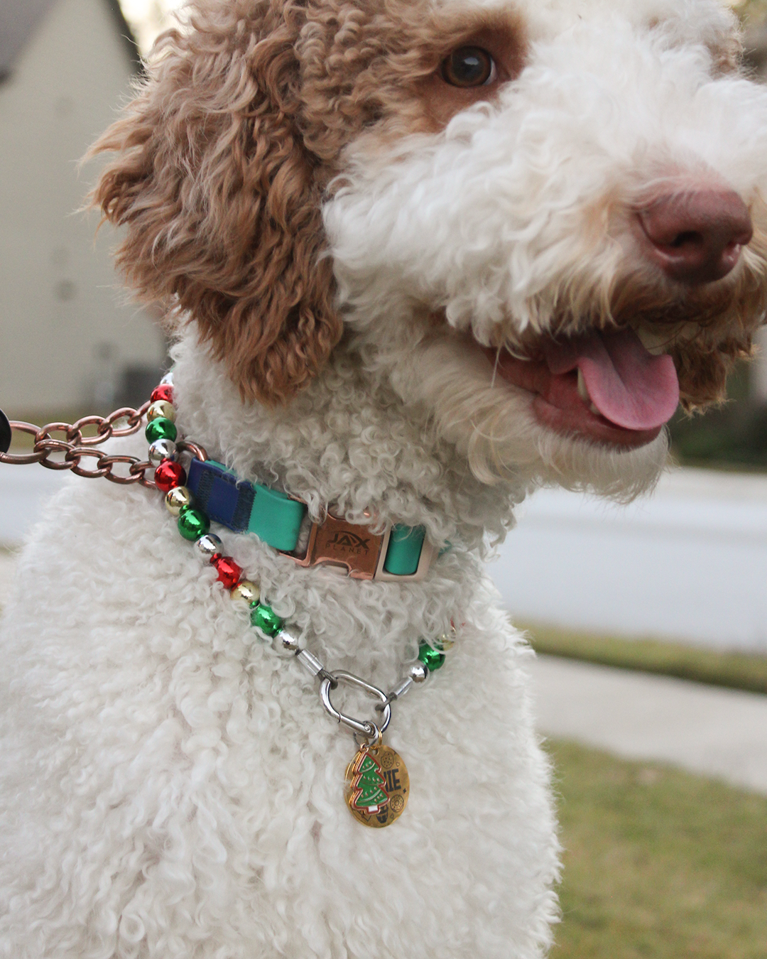 Ornaments Carabiner Beaded Necklace