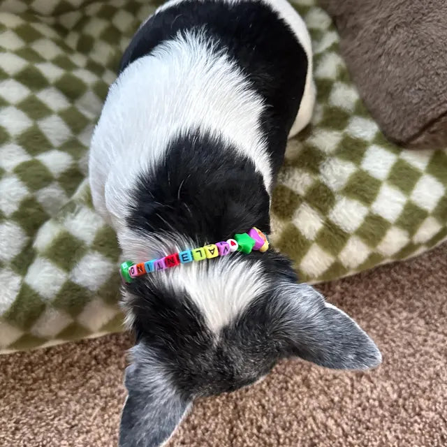 Multicolor Friendship Necklace