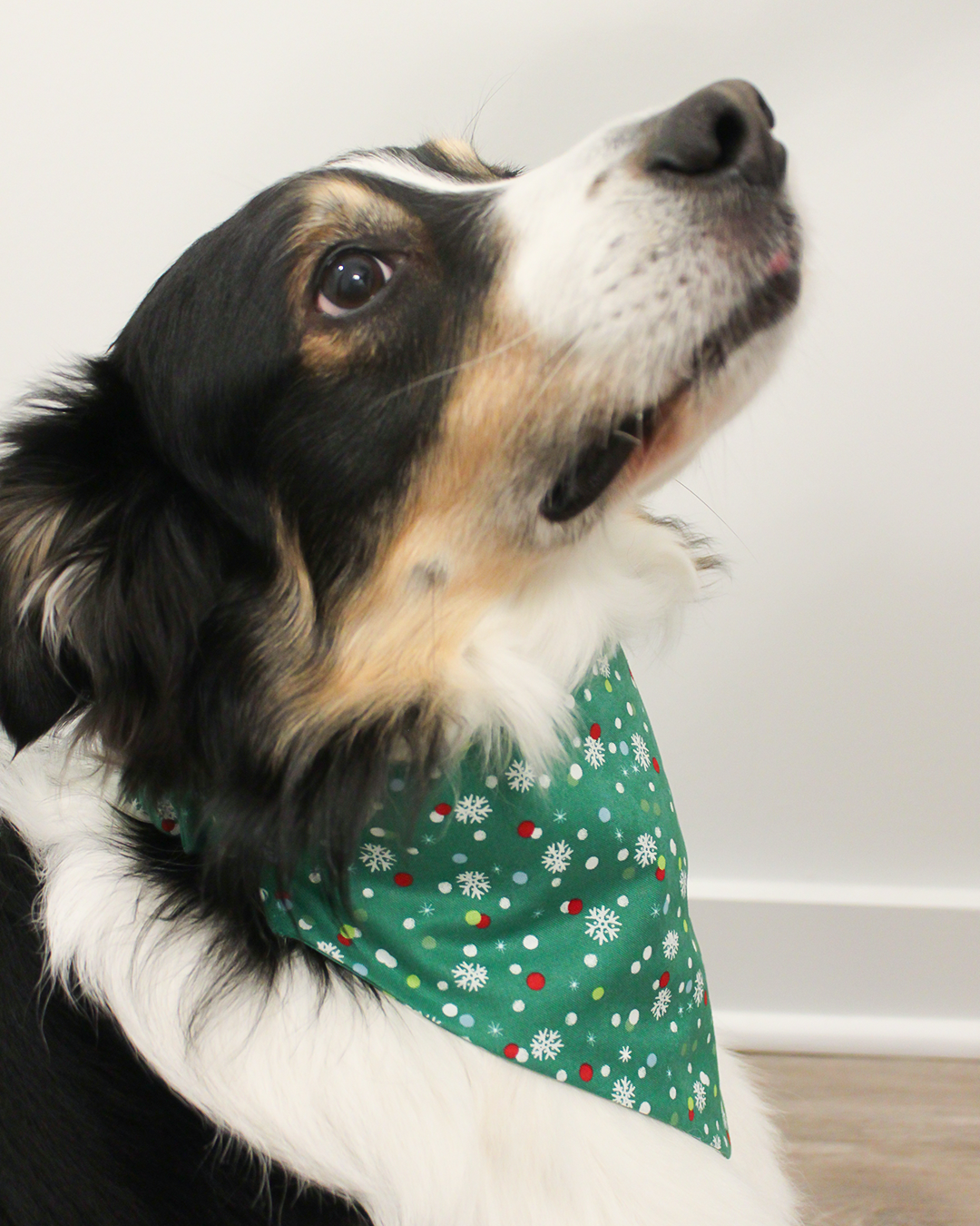 Gift Wrap Bandana